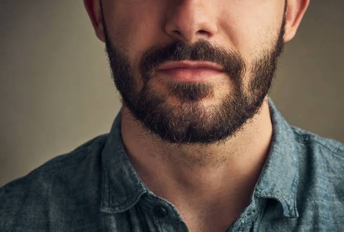 Classic Beard Style