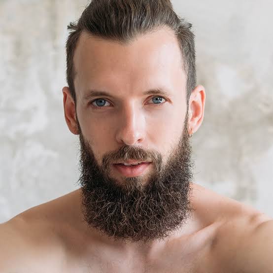 Long Hipster Beard Style