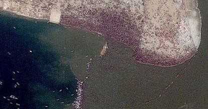The Image of the Kumbh Mela Gathering That is Visible from Space