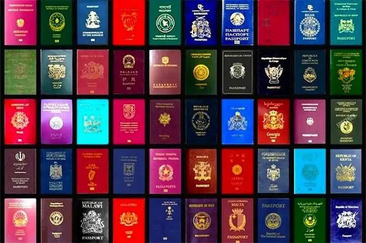 color of passports