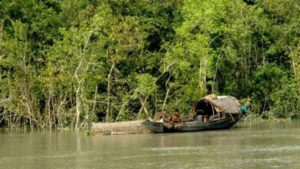 sunderbans