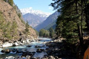 kasol