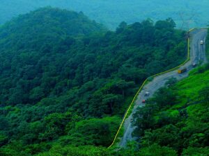 wayanad-best-places-to-go-in-june-in-india