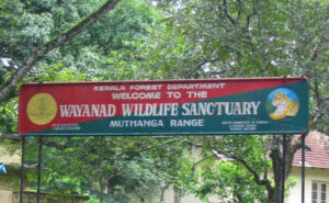 wayanad-wildlife-sanctuary-place-to-visit-wayanad