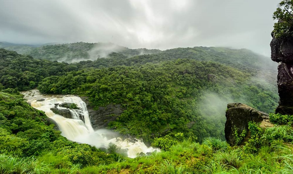 Coorg in July