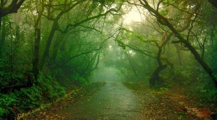 panchgani in monsoon in july