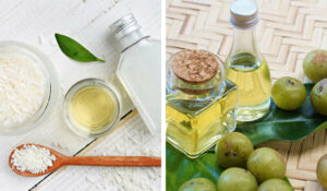 Hi everyone! It's been a very long time since I posted on this blog. Finally, I am back with a very interesting topic for all my sweeties out there. I am sure all of you have been experiencing hair fall home remedy hair fall home remedy, hair fall remedies, hair fall reason, hair fall home remedies, hair fall control home remedy, hair fall prevention home remedy, how to prevent hair fall with home remedies, hair loss home remedy, dandruff and hair fall home remedy, hair fall cure home remedy,