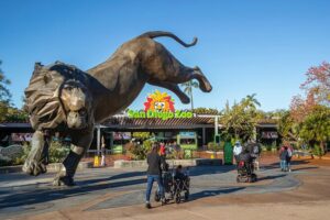 This are the best zoo with animals. If you're thinking of visiting a zoo while on vacation, you should start by reading this short article. zoo with animals, Zoo Delhi, zoo near me, zoo for animals,