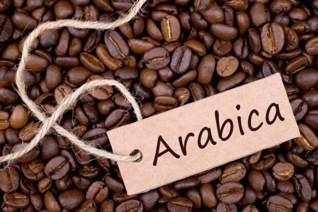 Arabica Coffee Images - Mews