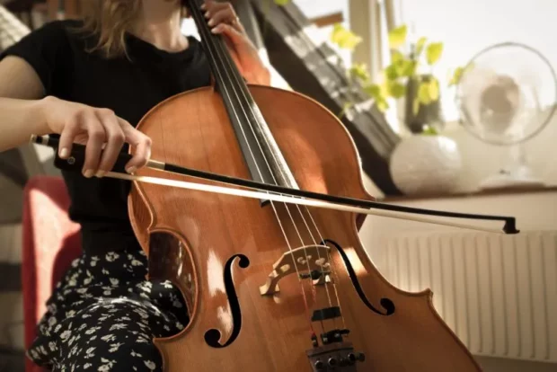Cello - Musical Instrument Name