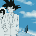 Goku and Chi chi anime couple (1)