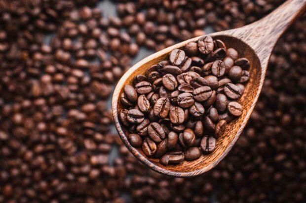Robusta Coffee - Types of Coffee