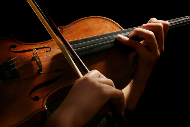 Musical Instrument - Violin