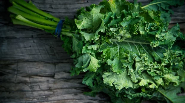 Kale - Nutrition - Image - Mews