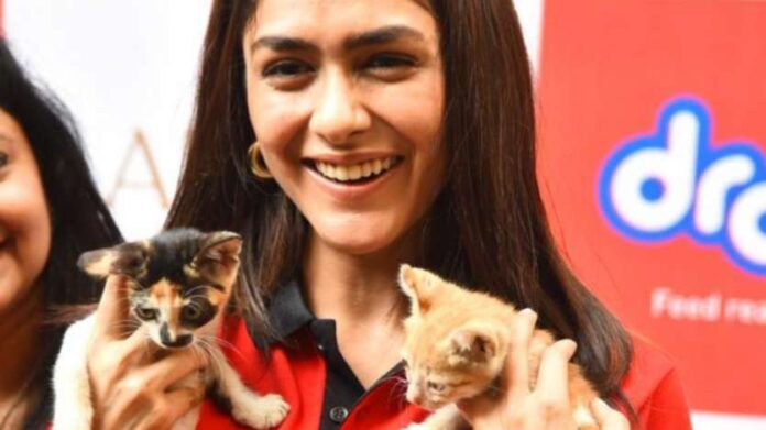 Mrunal Thakur, Mrunal Thakur pets, Mrunal Thakur Animal lover