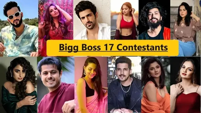 Big Boss 17 Contestants
