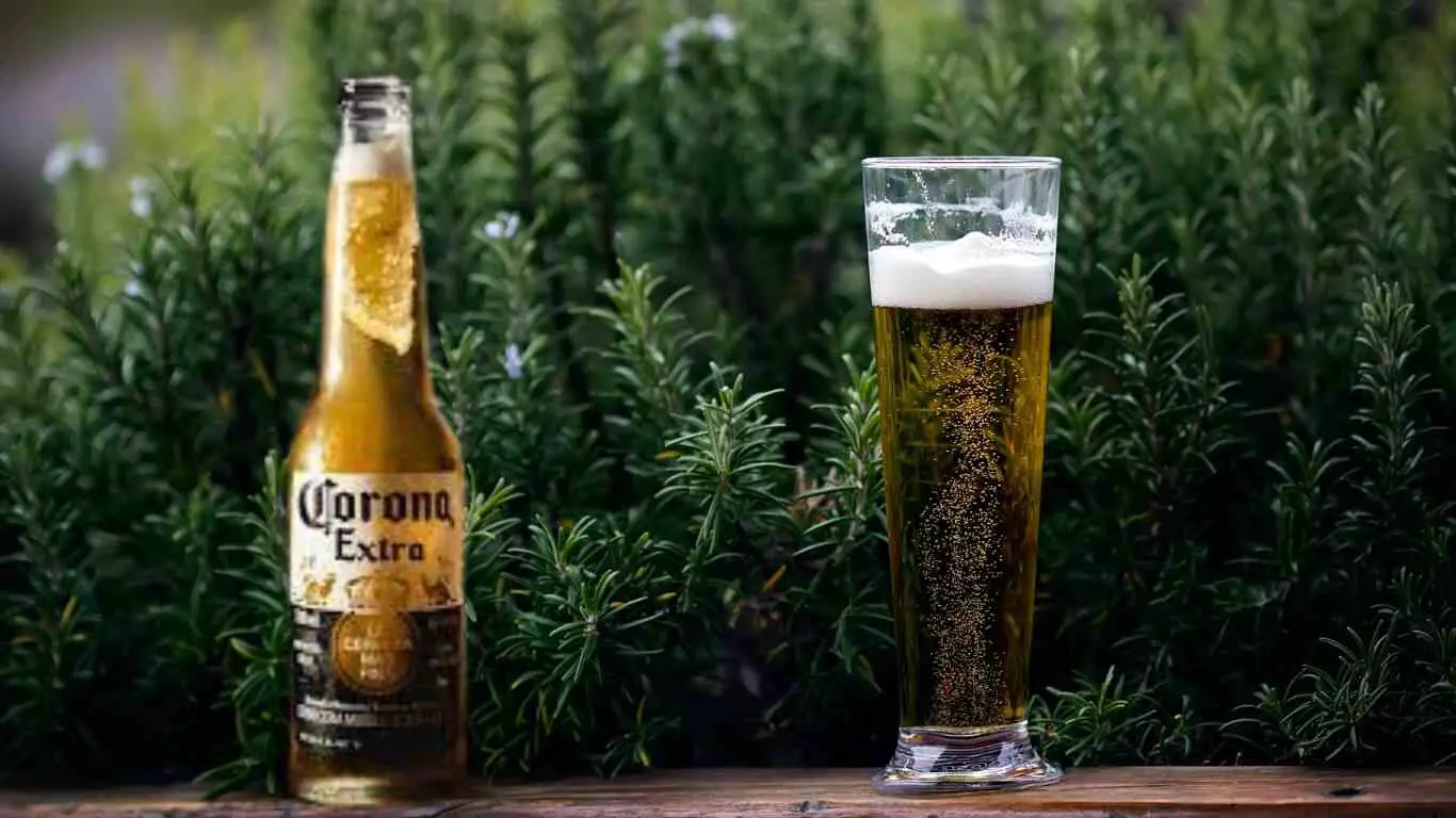 From Corona Beer Price to Everything you have been searching