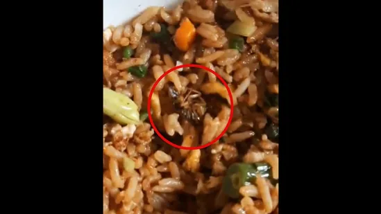 Zomato replies after customer finds dead cockroach in Chicken Fried Rice