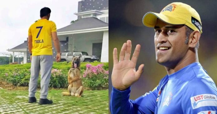 MS Dhoni gives priceless reply on asked about retirement plans after cricket