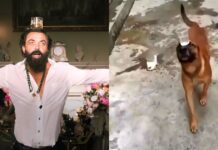 Dog goes viral for recreating Bobby’s Jamal Kudu song with Glass on his Head Dog goes viral for recreating Bobby's Jamal Kudu song with Glass on his Head