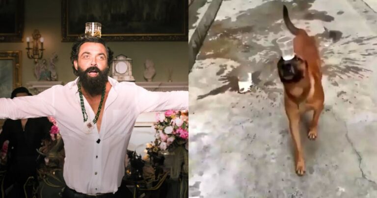 Dog goes viral for recreating Bobby’s Jamal Kudu song with Glass on his Head