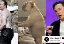 Elon Musk gives epic reply on comparison of his shirtless pic with Dog Elon Musk gives epic reply on comparison of his shirtless pic with Dog