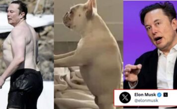 Elon Musk gives epic reply on comparison of his shirtless pic with Dog Elon Musk gives epic reply on comparison of his shirtless pic with Dog