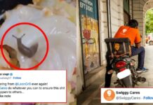 Swiggy responds as Customer complaints about Live Snail in Salad Swiggy responds as Customer complaints about Live Snail in Salad