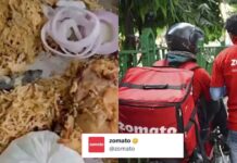 Zomato replies after the customer gets dead lizard as free gift in food Zomato replies after the customer gets dead lizard as free gift in food