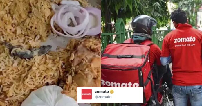 Zomato replies after the customer gets dead lizard as free gift in food