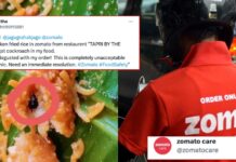 Zomato replies after customer finds dead cockroach in Chicken Fried Rice Zomato replies after customer finds dead cockroach in Chicken Fried Rice